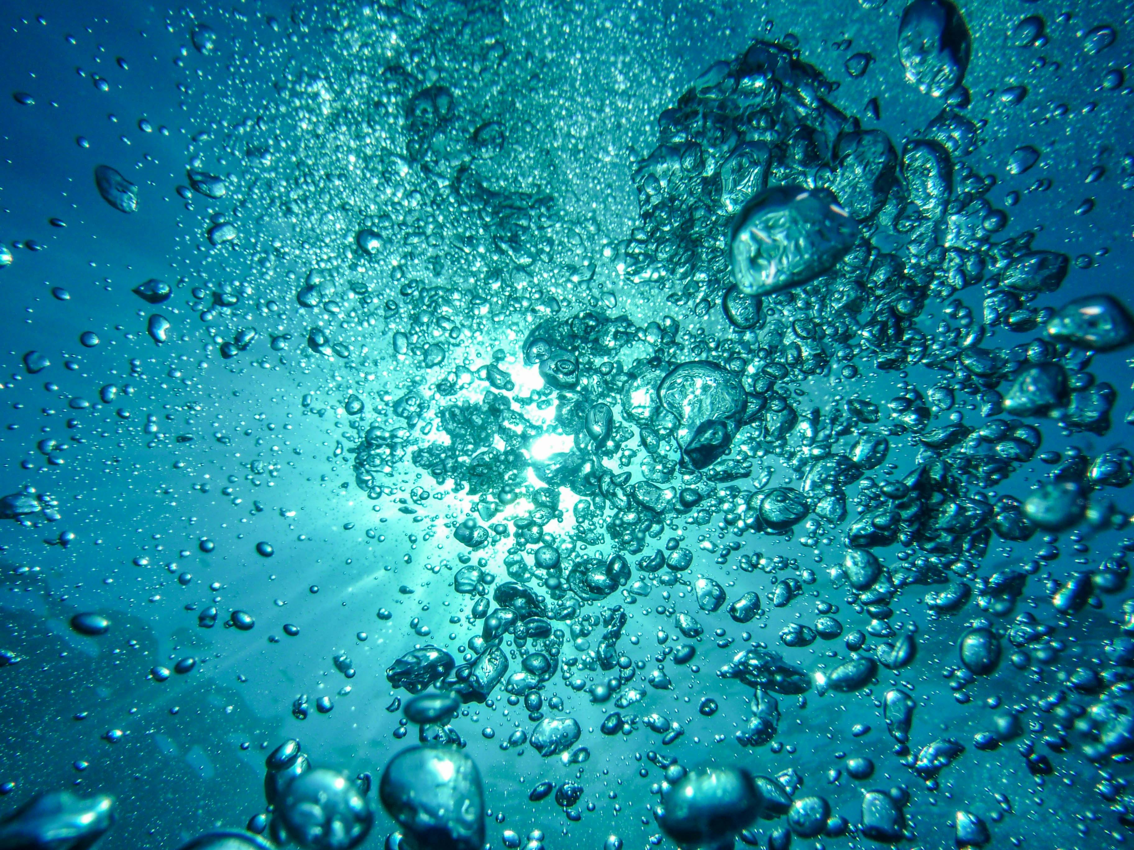 L'ozone : le désinfectant idéal pour les bains glacés - ROCEAN